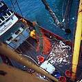 Tiefsee-Trawler © Mike R. Jackson / WWF Canon