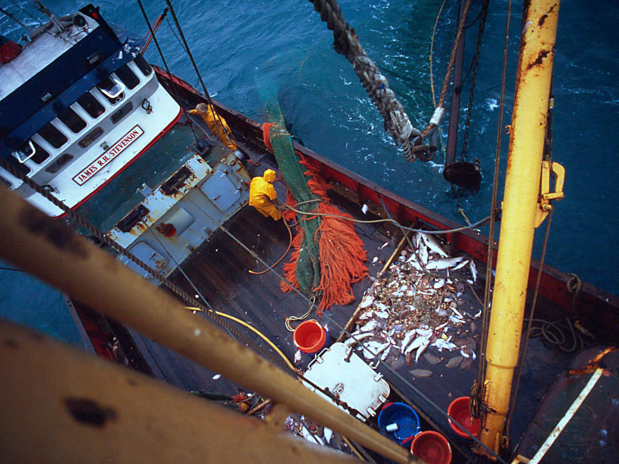 Tiefsee-Trawler © Mike R. Jackson / WWF Canon