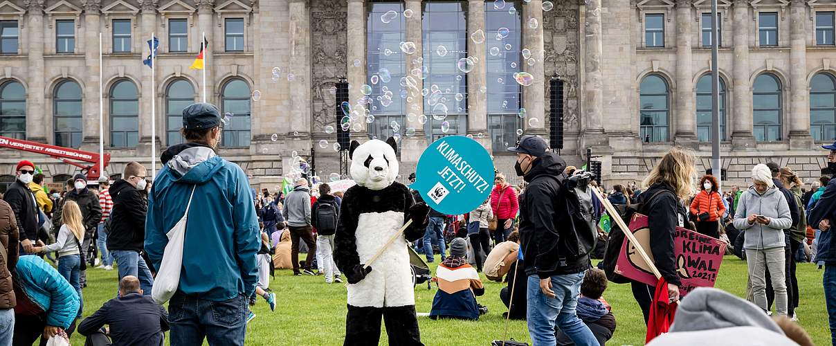 Ein Mensch im Pandakostüm hält ein Schild "Klimaschutz jetzt" beim Klimastreik vor dem Bundestag. © Jörg Farys / WWF Deutschland