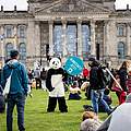 Ein Mensch im Pandakostüm hält ein Schild "Klimaschutz jetzt" beim Klimastreik vor dem Bundestag. © Jörg Farys / WWF Deutschland