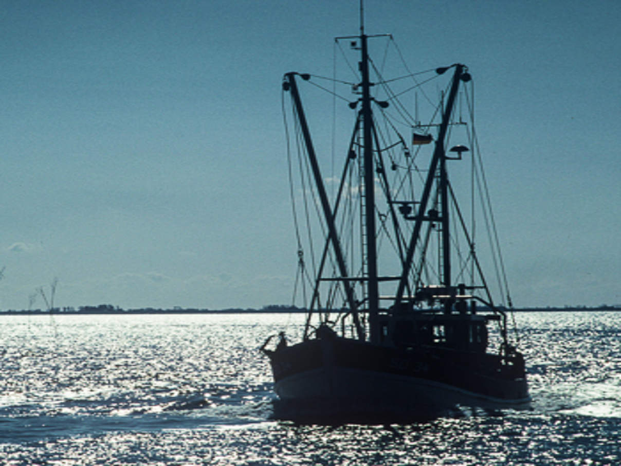 Fischerei auf der Nordsee ©Hartmut Jungius WWF 