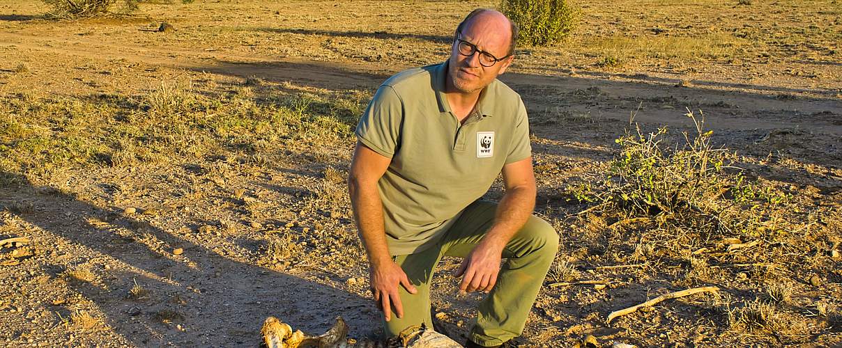 Johannes Kirchgatter vor Zebra-Kadaver © WWF