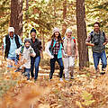 Herbstwunder-Wanderung © Getty Images