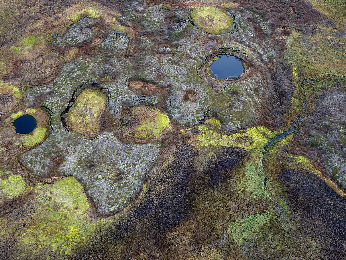 Luftaufnahme der Permafrosthügel im subarktischen Palsamoorgebiet Tavvavuoma in Schweden.