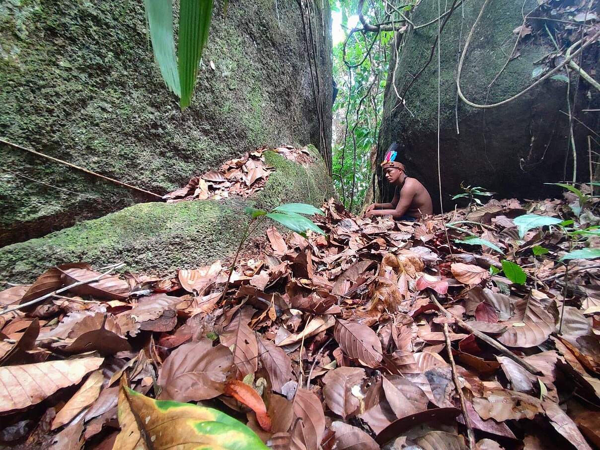 Dort, wo Indigene leben, ist die Natur nachweislich intakter © WWF Kolumbien