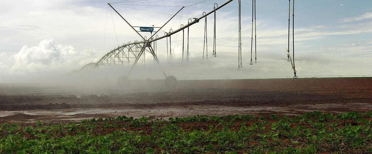 Wassersprenkler in Brasilien © Peter Caton / WWF-UK