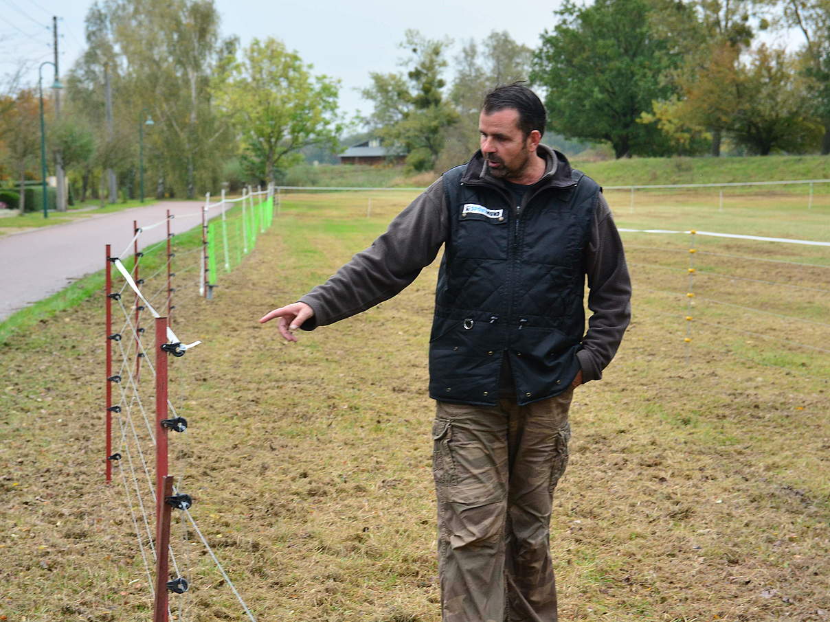 Weide von Swen Keller © Kristina Gandl / WWF Weide von Swen Keller © Kristina Gandl / WWF
