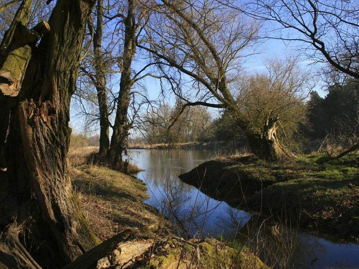 Mulde und Graben bei Dessau © Bernd Eichhorn / WWF