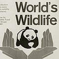 WWF Poster von 1961 © WWF Intl. / WWF