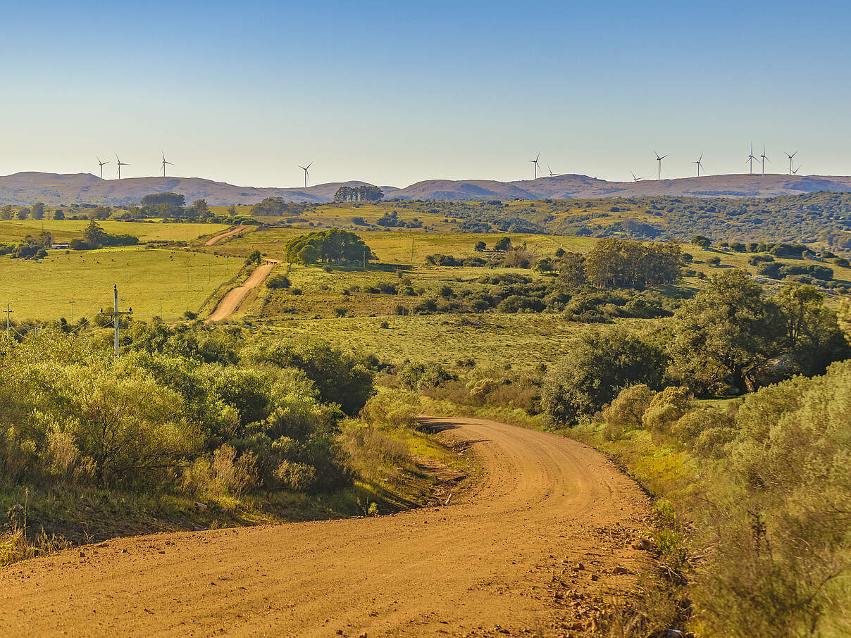 Uruguay setzt auf Windkraft.