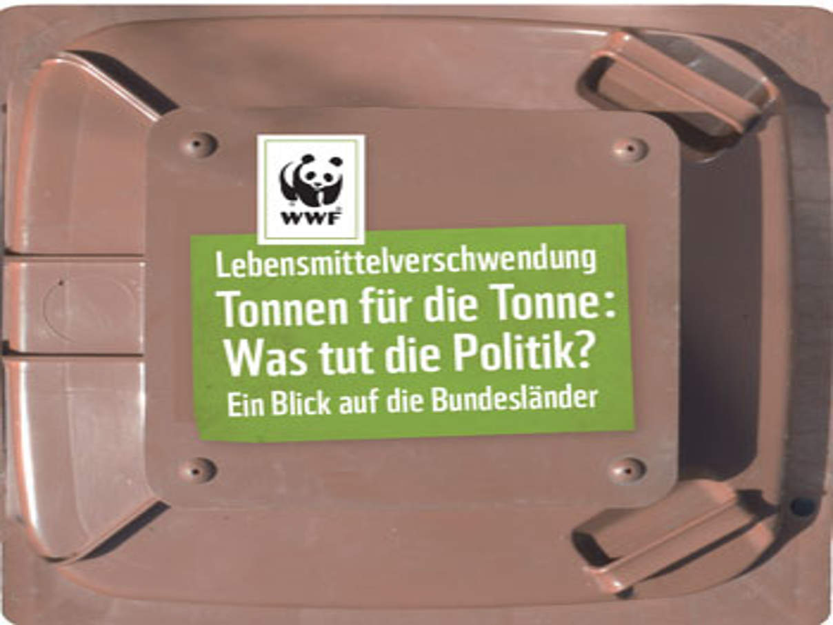 WWF-Studie Bundesländervergleich zur Lebensmittelverschwendung © WWF / Thomas Schlembach