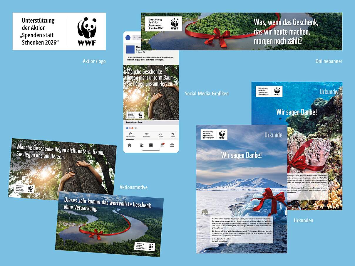 Kommunikationsmaterial der WWF-Weihnachtsaktion „Spenden statt Schenken“ 