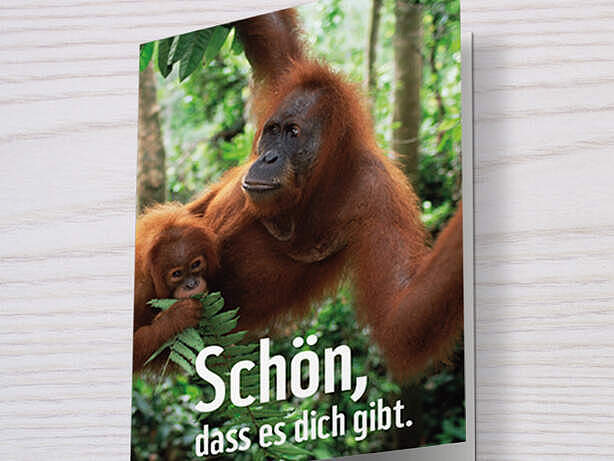 Klappkarte mit Orang-Utan-Motiv als Geschenkurkunde verwendbar