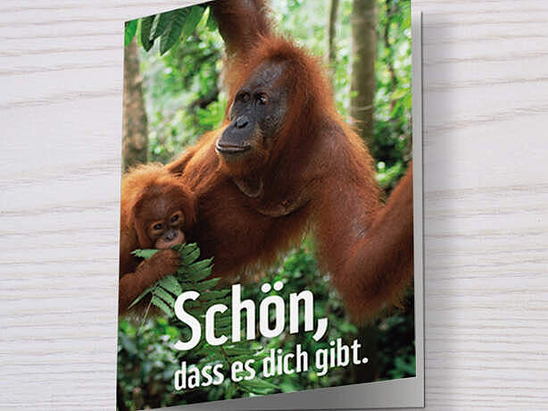Klappkarte mit Orang-Utan-Motiv als Geschenkurkunde verwendbar