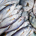 Fische auf einem Markt © Antonio Busiello / WWF-US