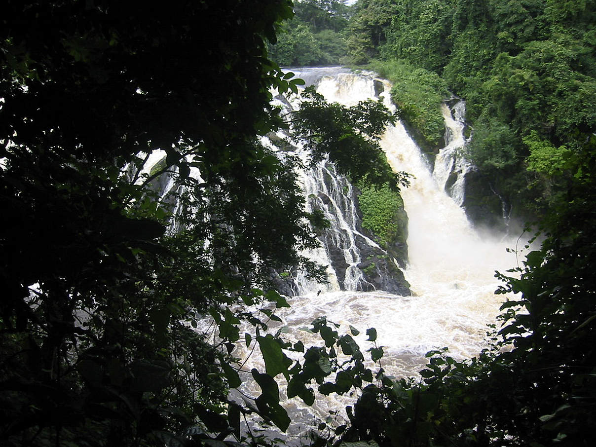 Memve'ele Wasserfälle in der Nähe des Campo Ma'an Nationalparks © WWF Carpo / Peter Ngea