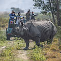 Nashorn mit Touristen-Gruppe © Ola Jennersten / WWF Schweden