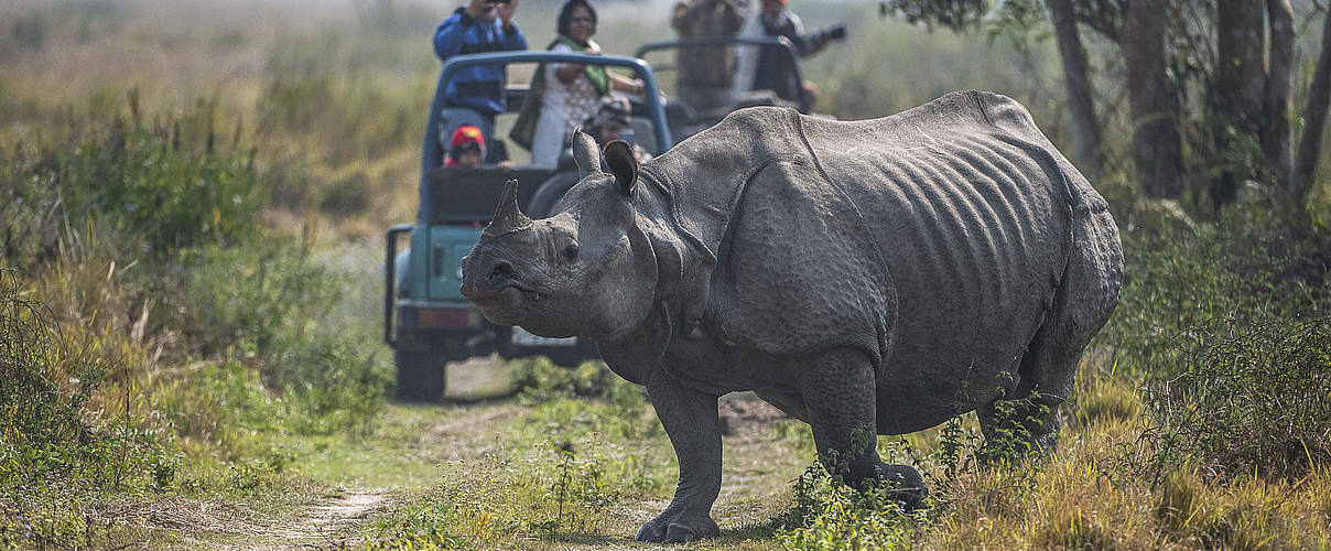 Nashorn mit Touristen-Gruppe © Ola Jennersten / WWF Schweden