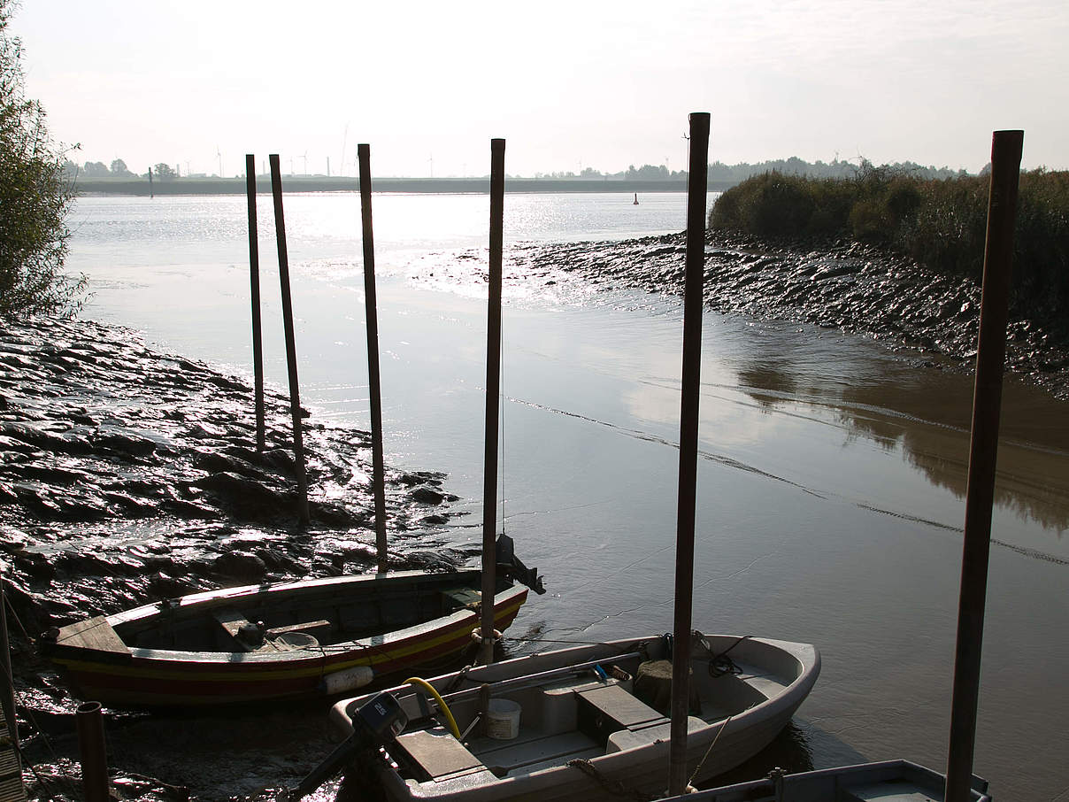 Boote am Ems-Ufer © J. Godlewski