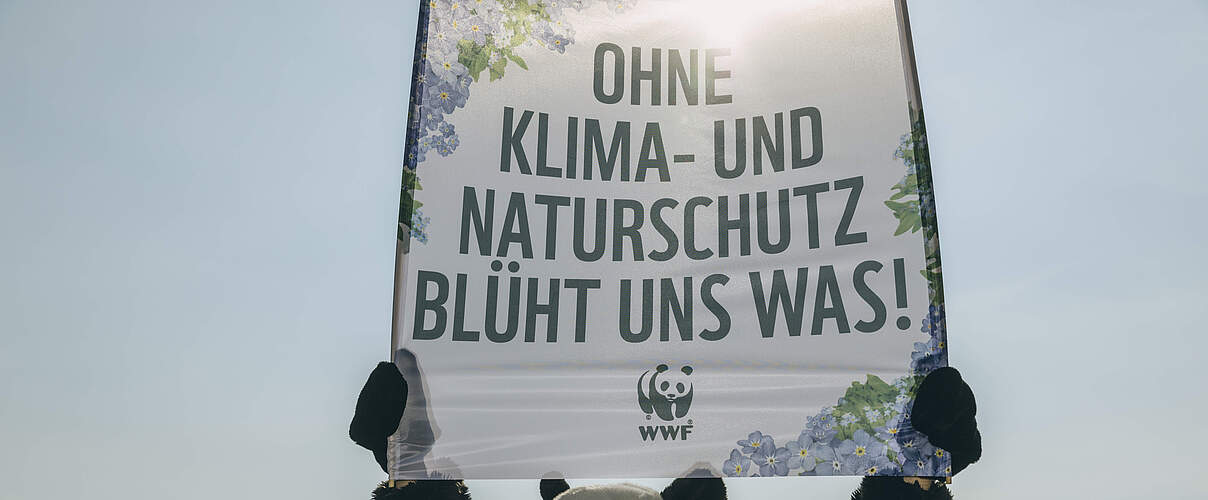 Aktion Bundestag: Vergesst Klima- und Naturschutz nicht © Marlene Gawrisch / WWF
