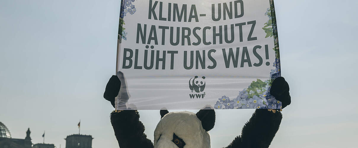 Aktion Bundestag: Vergesst Klima- und Naturschutz nicht © Marlene Gawrisch / WWF