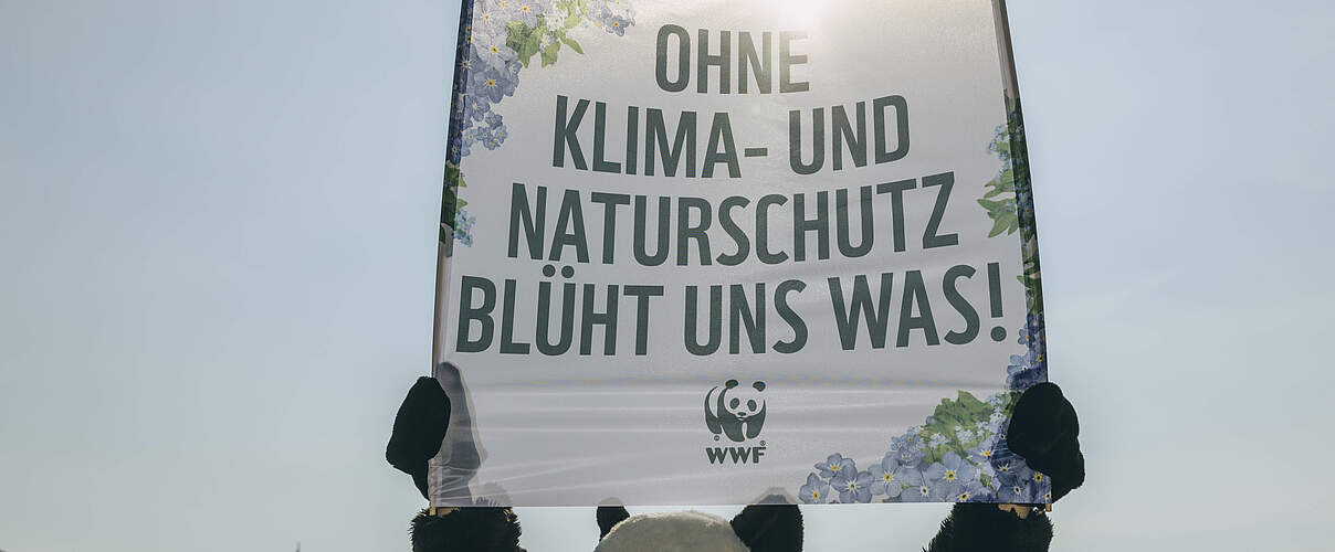Aktion Bundestag: Vergesst Klima- und Naturschutz nicht © Marlene Gawrisch / WWF