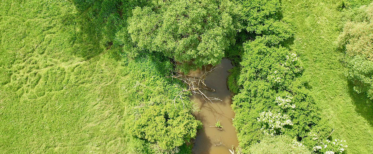 Naturparadies Baunach, Bayern © Olaf Obsommer / WWF