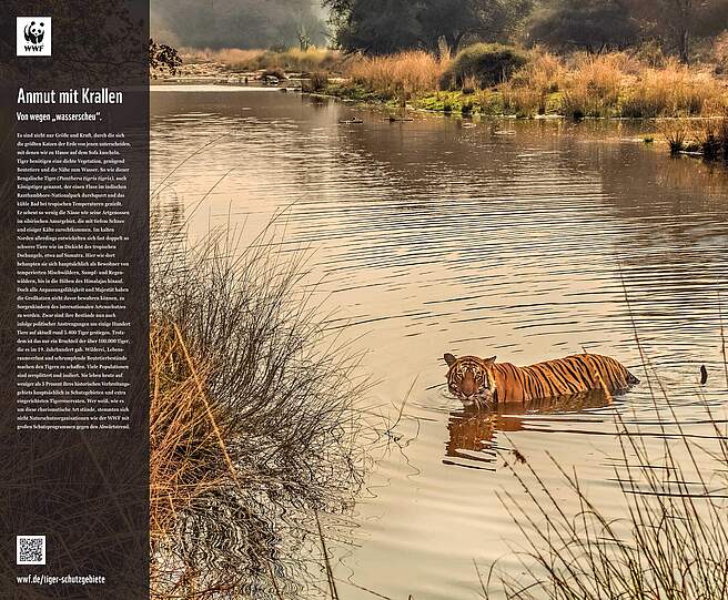 WWF Living Kalender 2025 als Dankeschön