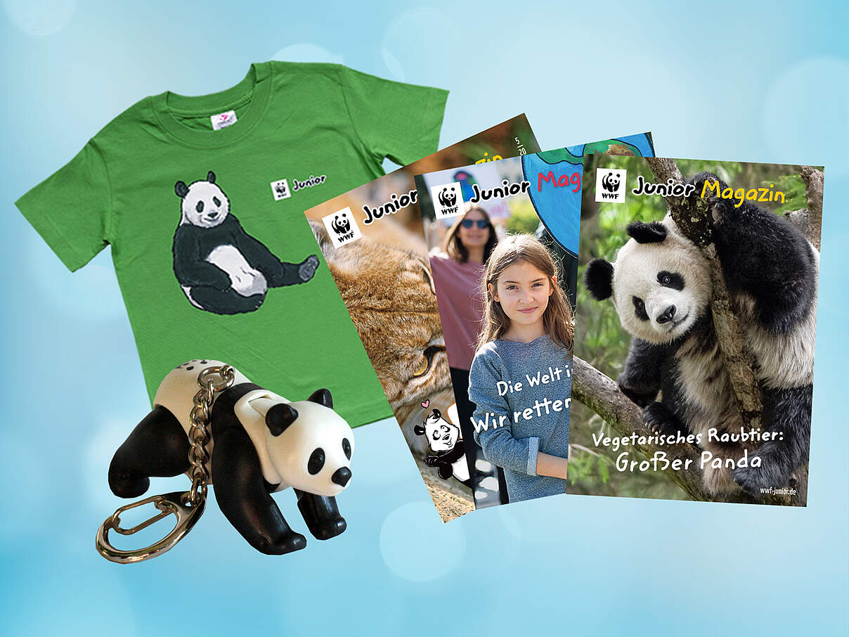 Prämien-Collage für die WWF-Juniormitgliedschaft