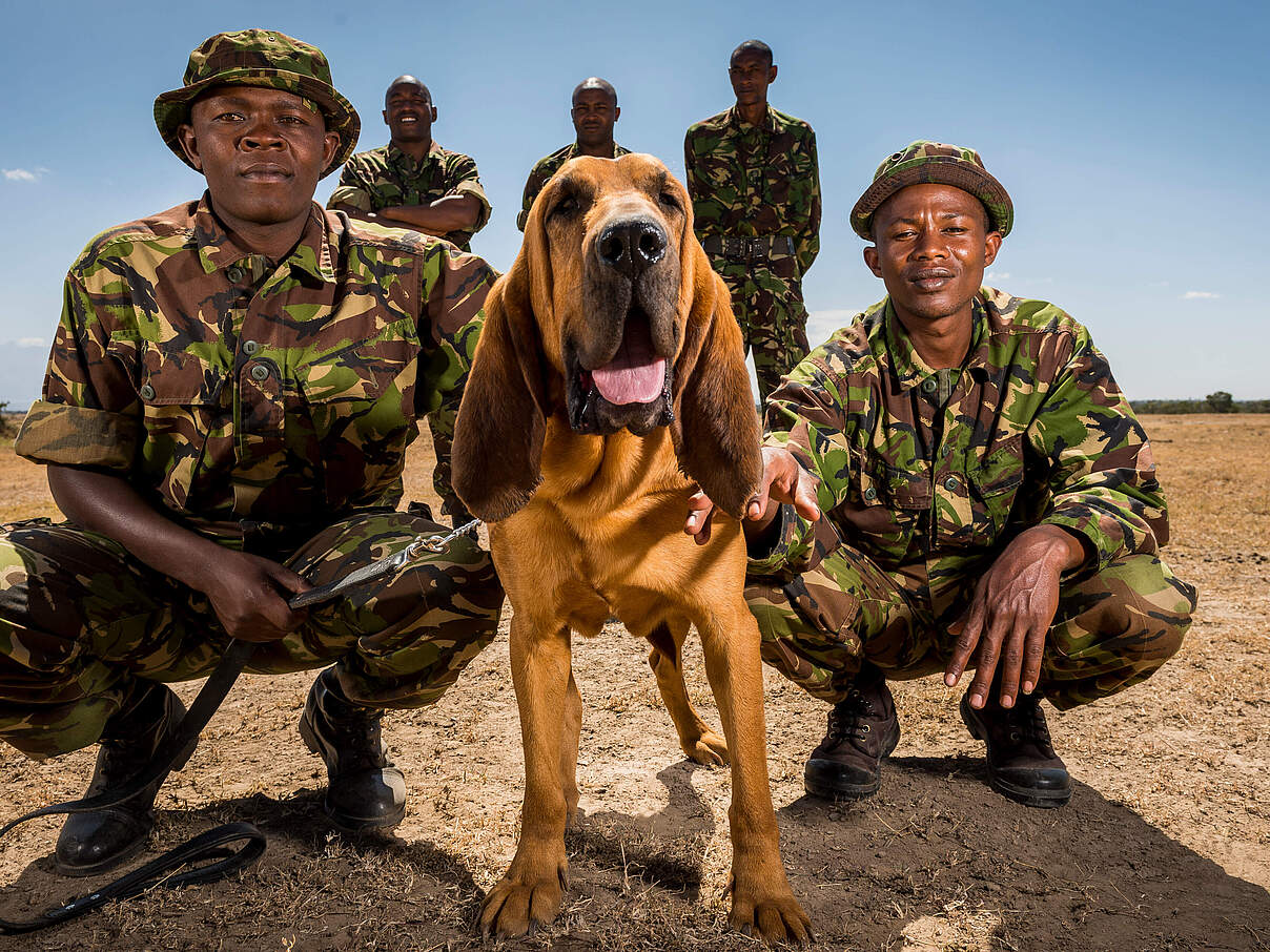 Ranger mit Spürhund in Kenia 