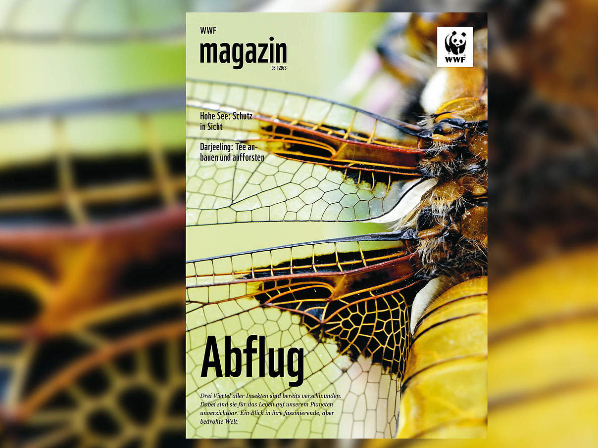 WWF Magazin 03/2023 © M.Johnson / mauritius images / Westend61