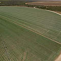 Palmares Soja Farm, Cerrado, Brasilien © David Bebber / WWF UK