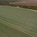 Palmares Soja Farm, Cerrado, Brasilien © David Bebber / WWF UK