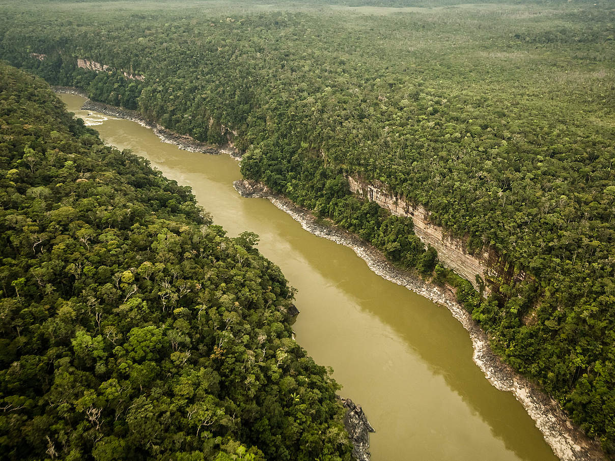 Blick auf den Fluss Caqueta im Amazonas © César David Martinez