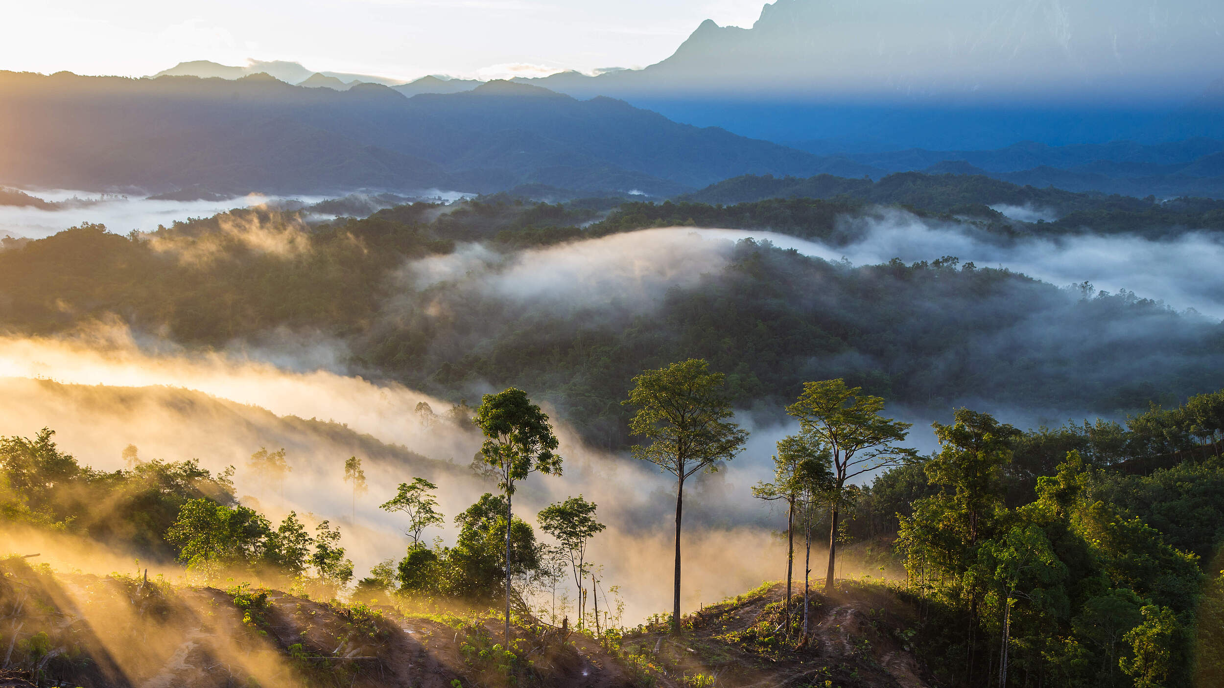 Nebelschwaben ziehen bei Sonnenaufgang über eine Naturlandschaft