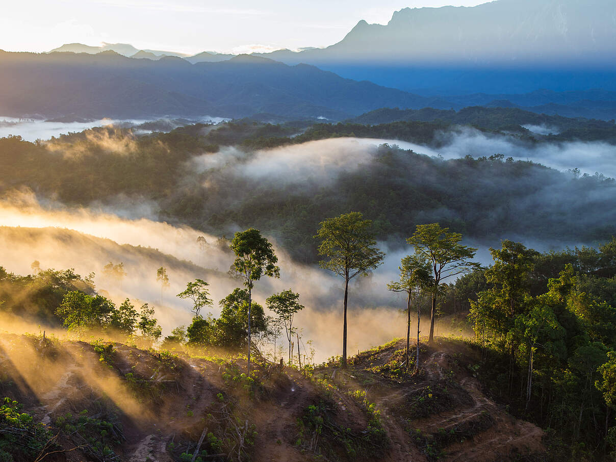 Nebelschwaben ziehen bei Sonnenaufgang über eine Naturlandschaft