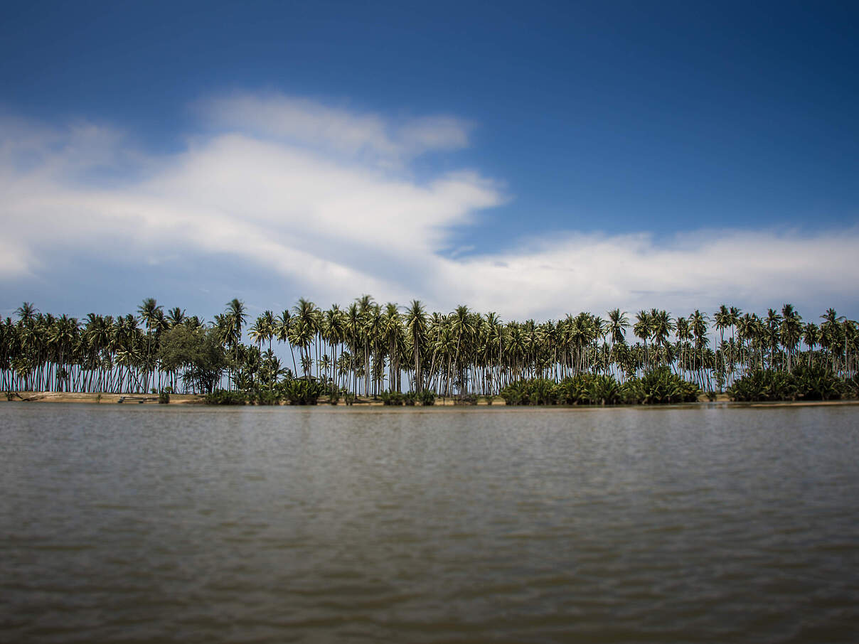 Setiu Wetlands © WWF-Malaysia / Mazidi Abd Ghani Setiu Wetlands © WWF-Malaysia / Mazidi Abd Ghani