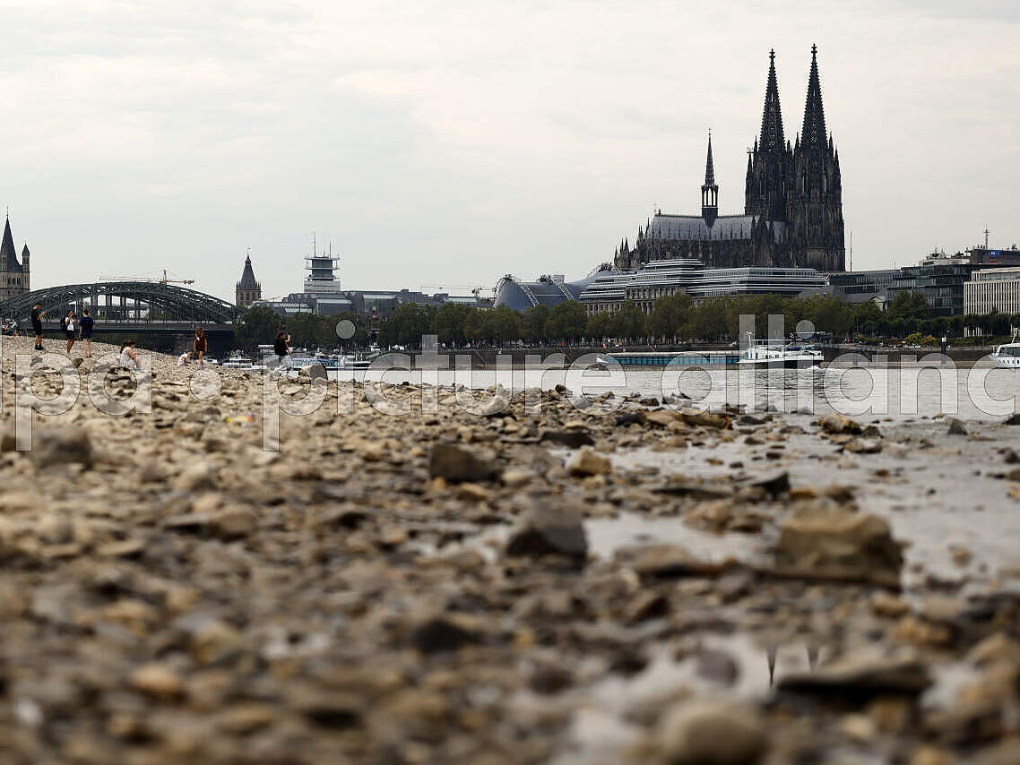 Blick vom ausgetrockneten Flussbett am Rand des Rheins über das verbleibende Wasser in Richtung Kölner Dom, während das Rhein-Niedrigwasser am 05.08.2026 auf einem Rekordtief ist.
