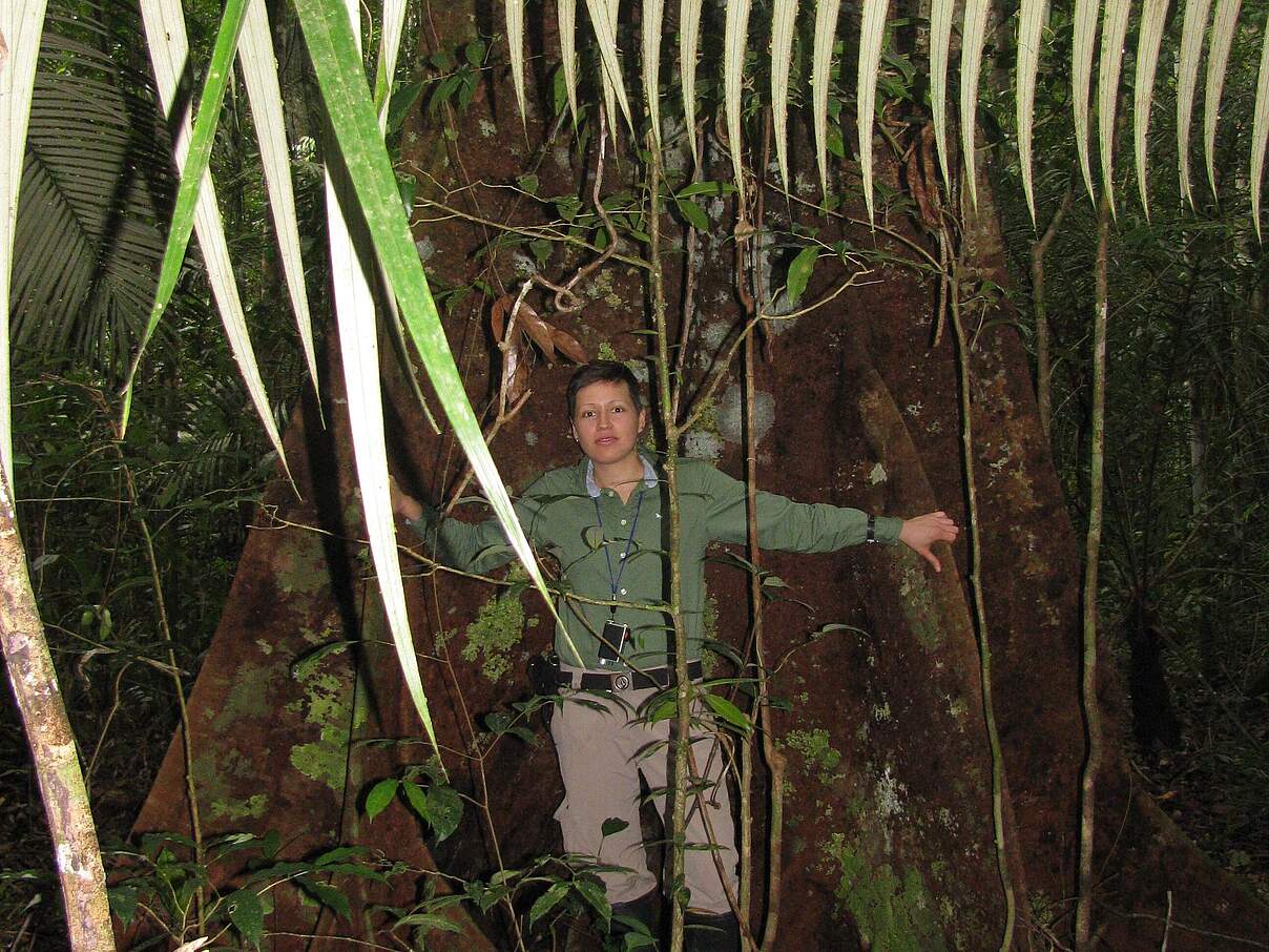 Laura Prill überzeugt Unternehmen davon, mit dem Wald und seinen Ressourcen nachhaltig umzugehen.