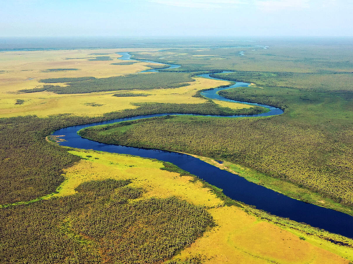 Das Gebiet Tres Gigantes im Pantanal von oben © Gianfranco Mancusi / WWF-Brazil