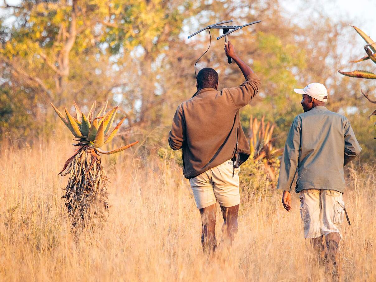 Tracking und Monitoring von Nashörnern 