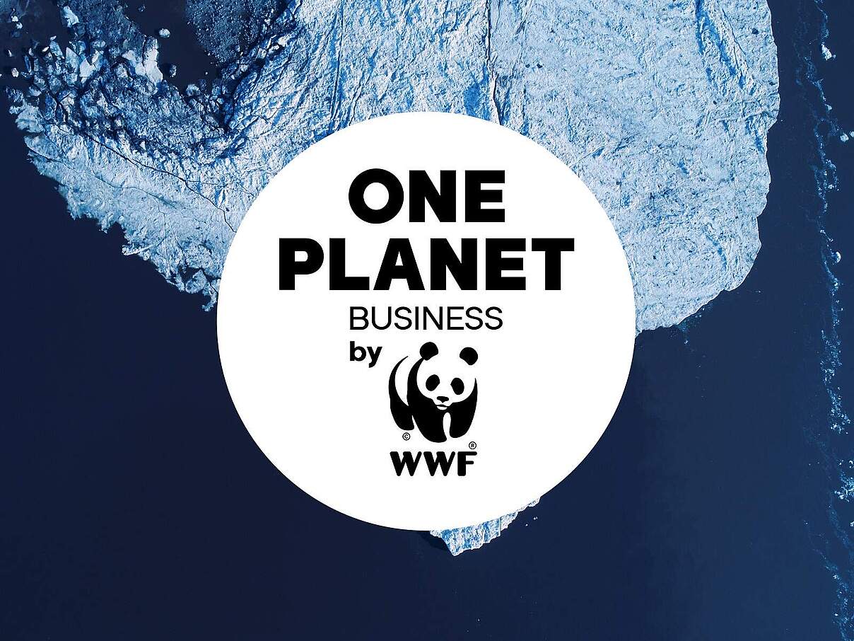 One Planet Business © Ikars Kublins