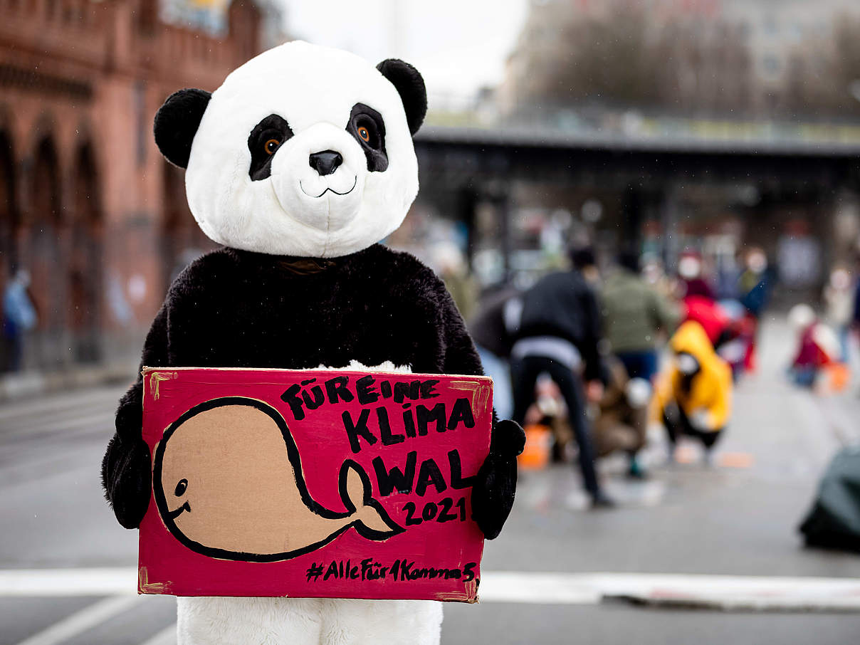 Klimastreik mit Panda zur Klimawahl 2021 © Joerg Farys / WWF