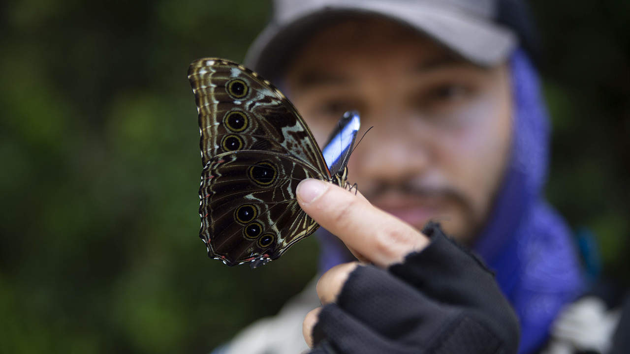 Mann mit Schmetterling auf Expedition © Pablo Mejía / WWF Colombia