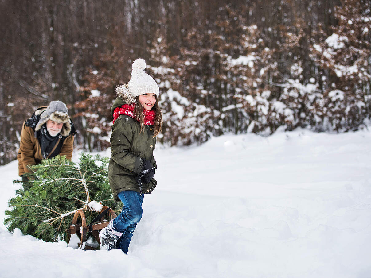 Weihnachtsbaum holen im Schnee