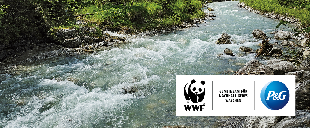 P&G und WWF: Gemeinsam für nachhaltigeres Waschen © imageBROKER / Arco Images GmbH / P&G / WWF