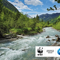 P&G und WWF: Gemeinsam für nachhaltigeres Waschen © imageBROKER / Arco Images GmbH / P&G / WWF