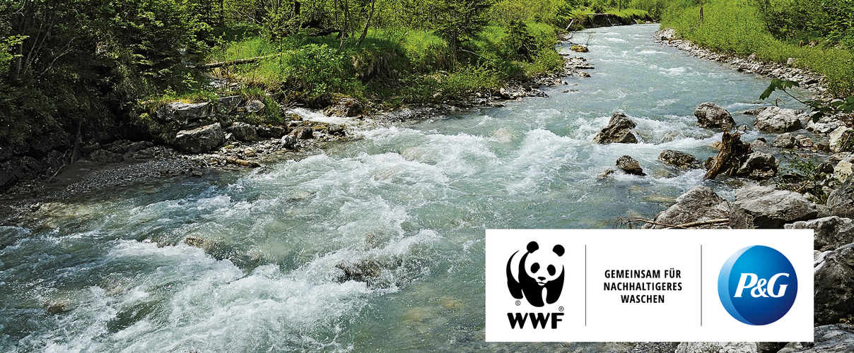 P&G und WWF: Gemeinsam für nachhaltigeres Waschen © imageBROKER / Arco Images GmbH / P&G / WWF