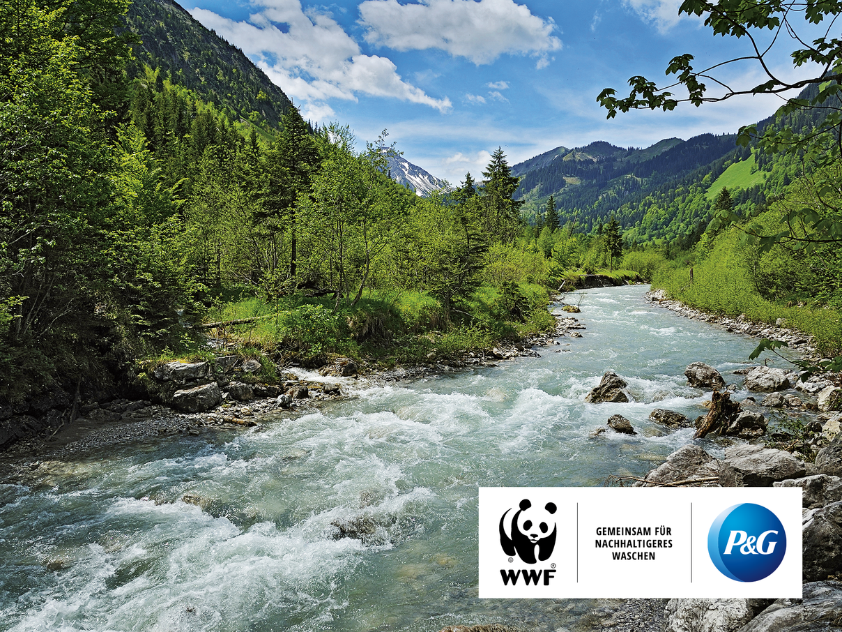 P&G und WWF: Gemeinsam für nachhaltigeres Waschen © imageBROKER / Arco Images GmbH / P&G / WWF