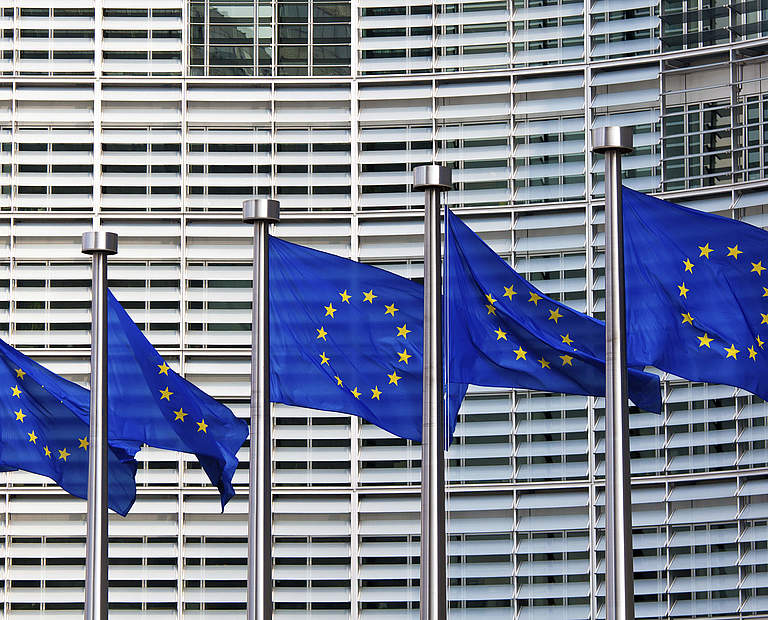 Europawahl 2019 © Thinkstock